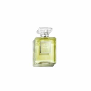 3145891194906-1-CHANEL-N°19-Poudre-Eau-de-Parfum-100-ml.jpg