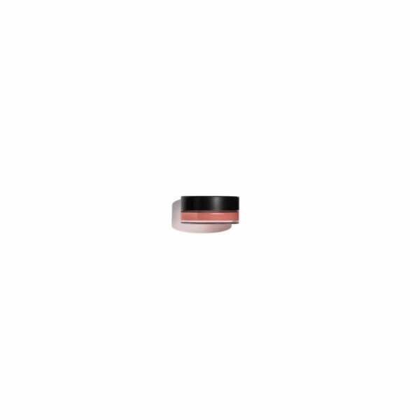 3145891453812-1-N°1-Lip-Cheek-Balm-Healthy-Pink-2-6,5-g.jpg