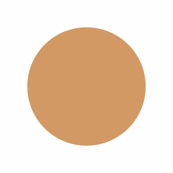3346470438040-2-Guerlain-Parure-Gold-Compact-Foundation-4N-Refill.jpg