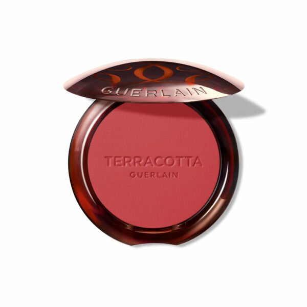 3346470442184-1-Guerlain-Terracotta-25-Blush-06.jpg